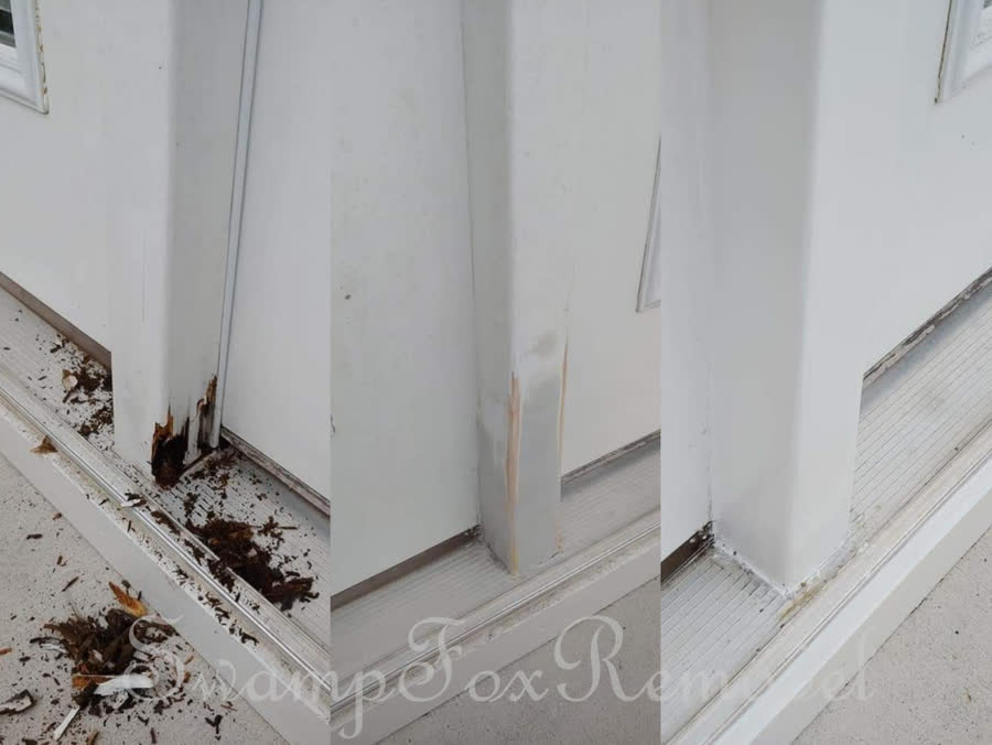 Swampfox Remodel project photo